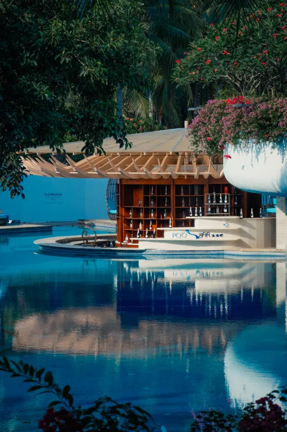 Swim-up Bar